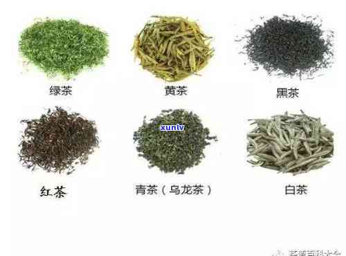 请问哪些茶属于红茶呢？绿茶、乌龙茶、白茶等都与红茶有何不同？