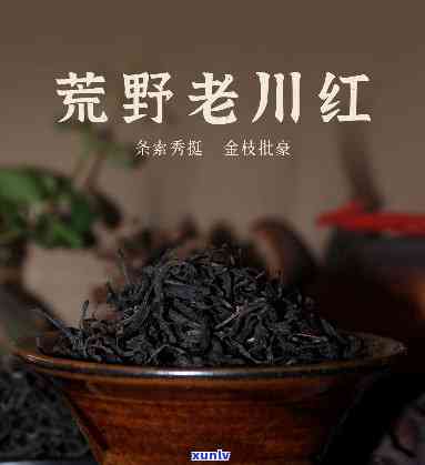 荒野红茶多少钱一斤心想事成，荒野红茶，心想事成，价格多少？