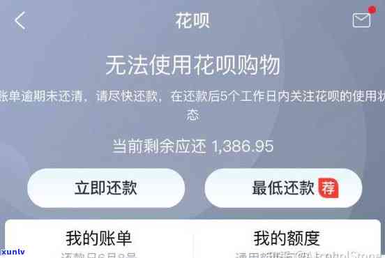 中信银行如何查询逾期还款记录及欠款金额？