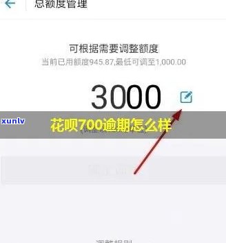 支付宝花呗逾期700天-支付宝花呗逾期700天,上吗