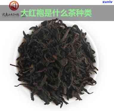 大红袍是什么茶？解析其品种与分类