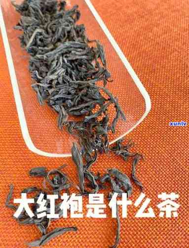 大红饱属于红茶吗?-大红饱茶的知识