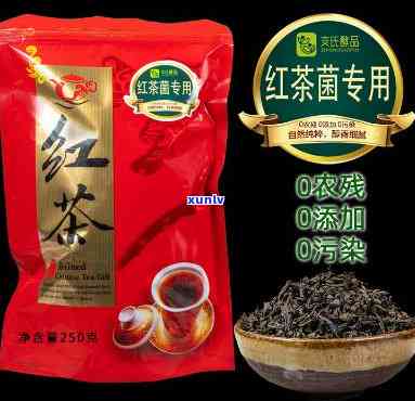 海宝红茶菌：功效、作用全面解析，能清理幽门杆菌吗？治疗哪些疾病？