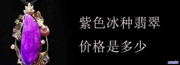 深入解析：紫色翡翠的价值与冰种紫色翡翠的区别及评估标准