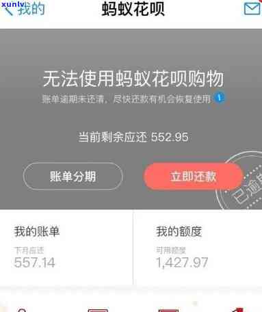 支付宝花呗逾期500天接到  走访，支付宝花呗逾期500天，接到了  和实地走访，你该怎么做？