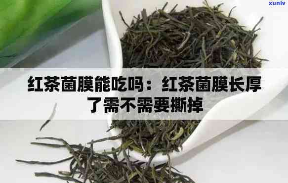 红茶菌膜是什么颜色的？请看相关图片与详细解答