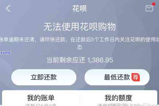 支付宝花呗逾期800天-支付宝花呗逾期800天会怎样