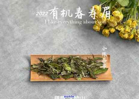 红茶是什么样的茶类？详解及图片展示