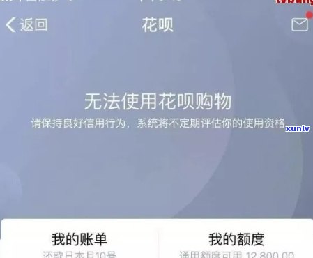 关于老班章的全名信息，以及可能的搜索问题解答