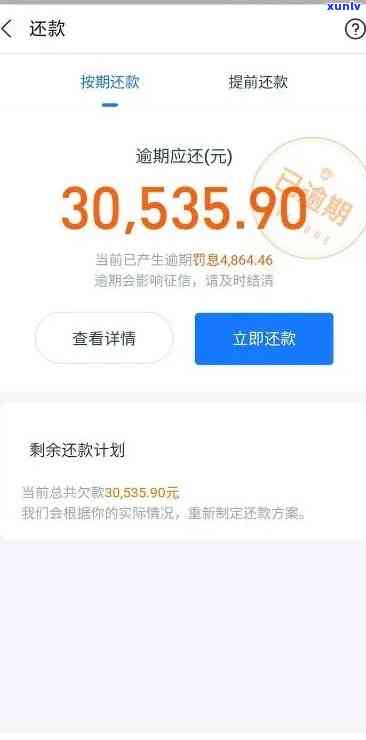 阳绿翡翠什么样子，探秘阳绿翡翠：它的真实面貌是什么样的？