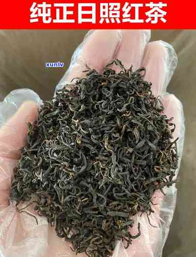 日照红茶是红茶吗，揭秘日照红茶：它是红茶吗？