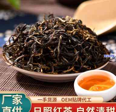 日照红茶是红茶吗，揭秘日照红茶：它是红茶吗？