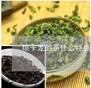 坝卡龙的茶什么特点-坝卡龙的茶怎么样