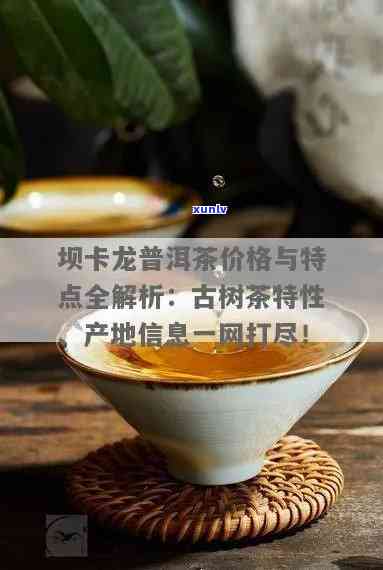 坝卡龙的茶什么特点-坝卡龙的茶怎么样