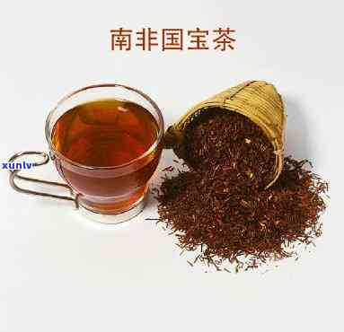 南非国宝茶：红茶？绿茶？哪种好？