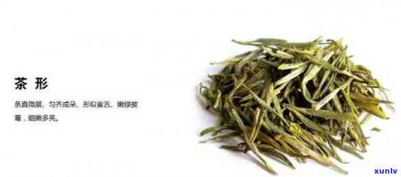 山黄芽属于黄小茶吗，山黄芽：是否属于黄小茶？