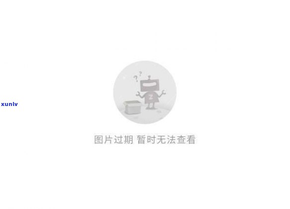 交通逾期能否现办分期？解决方案及操作指南