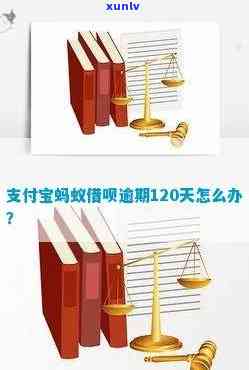 支付宝借呗逾期120天怎么办，遭遇支付宝借呗逾期120天？教你怎样应对解决！