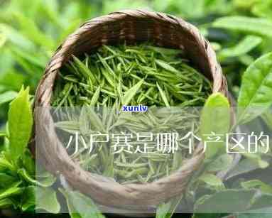 大户赛茶特点与口感-大户赛与小户赛茶区别