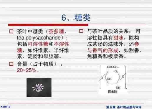 茶为什么有甜的口感？揭示茶叶中的天然糖分来源