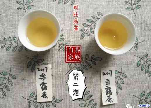 寒露茶和白露茶口感一样吗，探究寒露茶与白露茶的口感异同