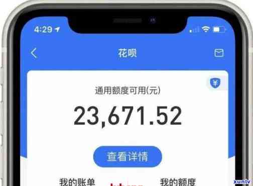 从茶叶中提取茶多酚的 *** ：全面解析与实践指南