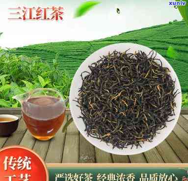 三江红茶早春之一茶-三江红茶早春之一茶是红茶还是绿茶