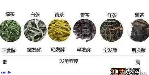 全发酵茶有什么，探究全发酵茶的魅力：了解其特点与种类