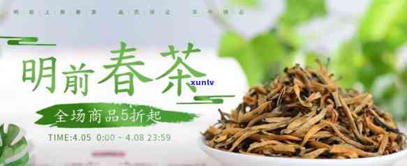 明前春茶口感的特点-明前春茶有哪些