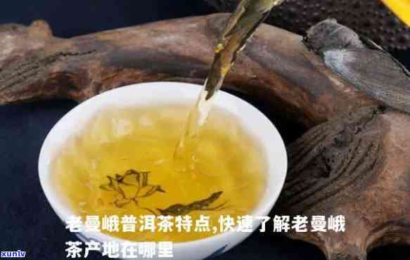 老曼纯料茶口感特点详解：深度解析其独特风味