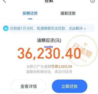 支付宝蚂蚁借呗逾期3天-支付宝蚂蚁借呗逾期3天会怎样