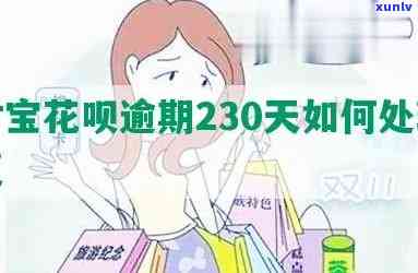 支付宝花呗逾期230天-支付宝花呗逾期230天怎么办