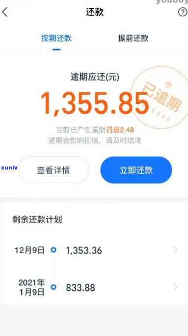 支付宝网商贷还清逾期一天-支付宝网商贷还清逾期一天会怎么样