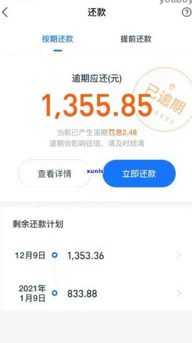 支付宝网商贷还清逾期一天-支付宝网商贷还清逾期一天会怎么样