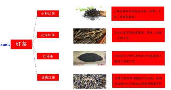 哪几种茶属于红茶种类？详解红茶分类与图片展示