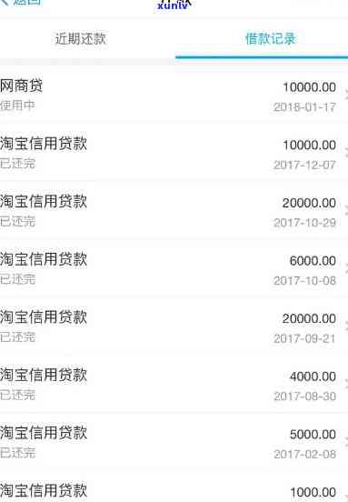 支付宝网商贷逾期100天-支付宝网商贷逾期100天会上么