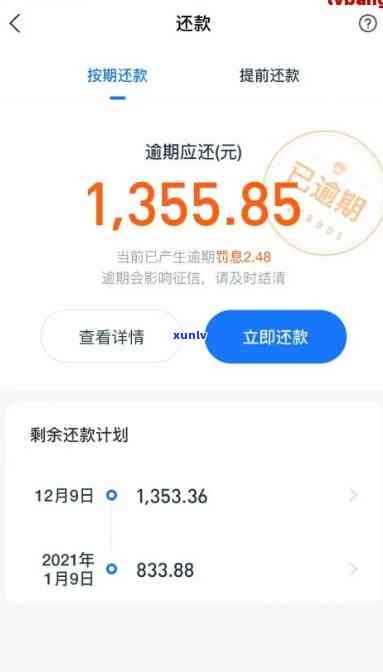 支付宝网商贷逾期100天-支付宝网商贷逾期100天会上么