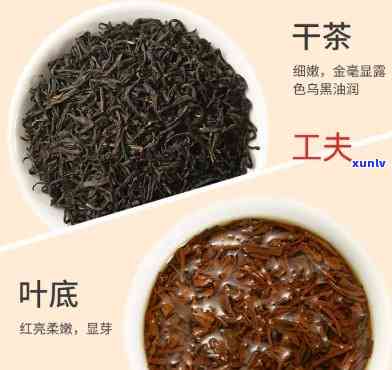 哪款茶类属于红茶，揭秘茶叶家族：哪款茶类属于红茶？