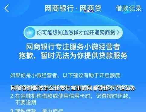 支付宝网商贷逾期一天无法借款，怎样解决？