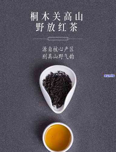 桐木关野生红茶的滋味和特点，探索桐木关野生红茶的独特风味与魅力