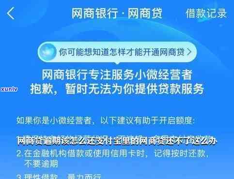 支付宝网商贷逾期11天，该怎样解决？