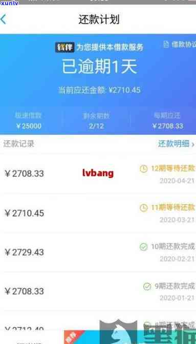 支付宝网商贷还款逾期两天怎么办，急需解决！支付宝网商贷还款逾期两天的应对策略