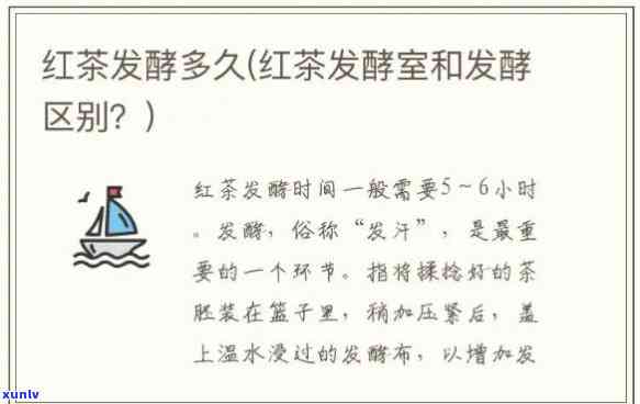 红茶发酵过程需要透气吗？探讨其必要性和原理