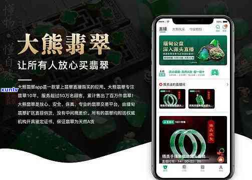 小我下载翡翠大师APP