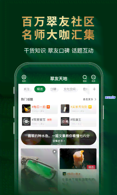 小我下载翡翠大师APP