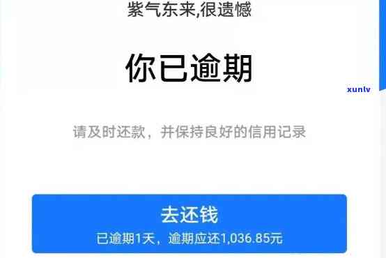 支付宝借呗500逾期一天-支付宝借呗500逾期一天会怎么样