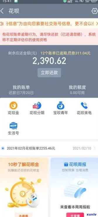 支付宝借呗500逾期一天-支付宝借呗500逾期一天会怎么样