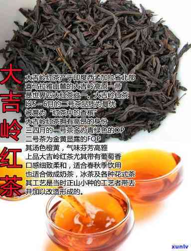 世界三大高香红茶是哪三大？