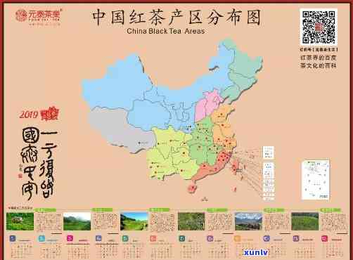 红茶啥样的好？口感、香气、产地等全方位解析