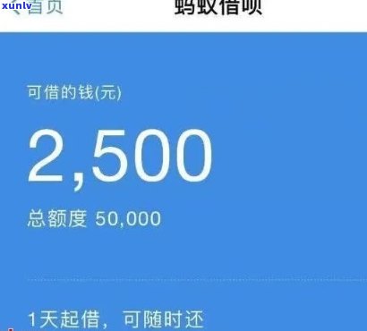 支付宝借呗50万逾期一天多少钱，熟悉支付宝借呗逾期一天的费用：50万元借款会产生多少罚息？